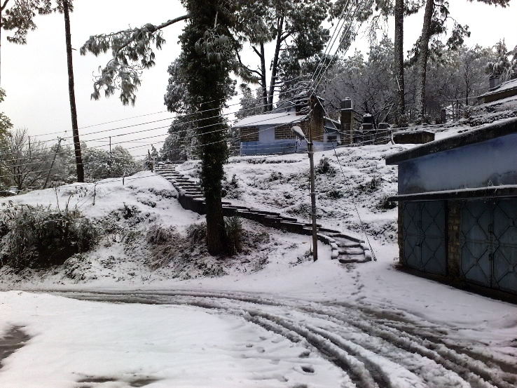 6. Almora